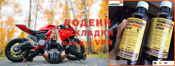 ГАЛЛЮЦИНОГЕННЫЕ ГРИБЫ Абаза