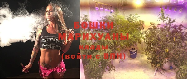 ГАЛЛЮЦИНОГЕННЫЕ ГРИБЫ Абаза
