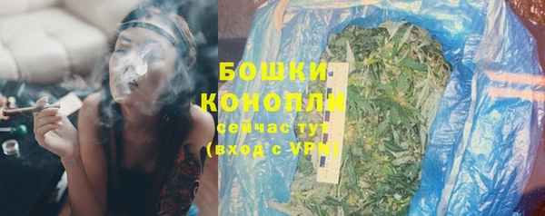 ГАЛЛЮЦИНОГЕННЫЕ ГРИБЫ Абаза
