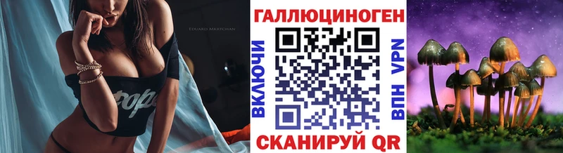 наркотики  Новотроицк  Псилоцибиновые грибы GOLDEN TEACHER 