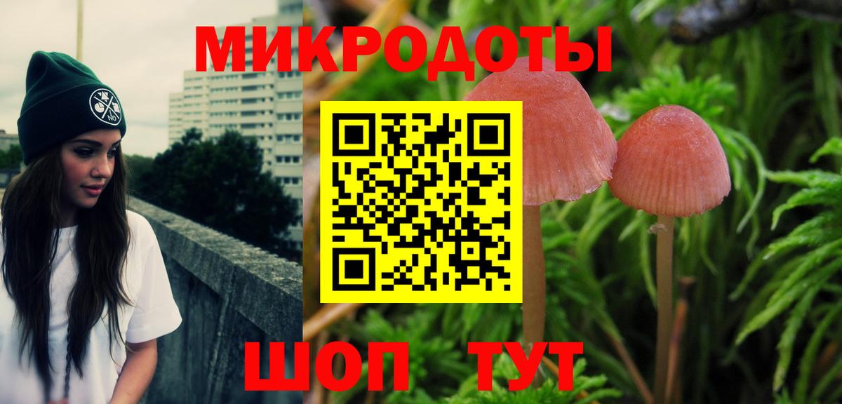 Псилоцибиновые грибы Psilocybe Новотроицк